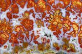 Wingate Pass Plume Agate Slab - California #378066-1